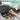 ACROPAQ Caisses monnaies